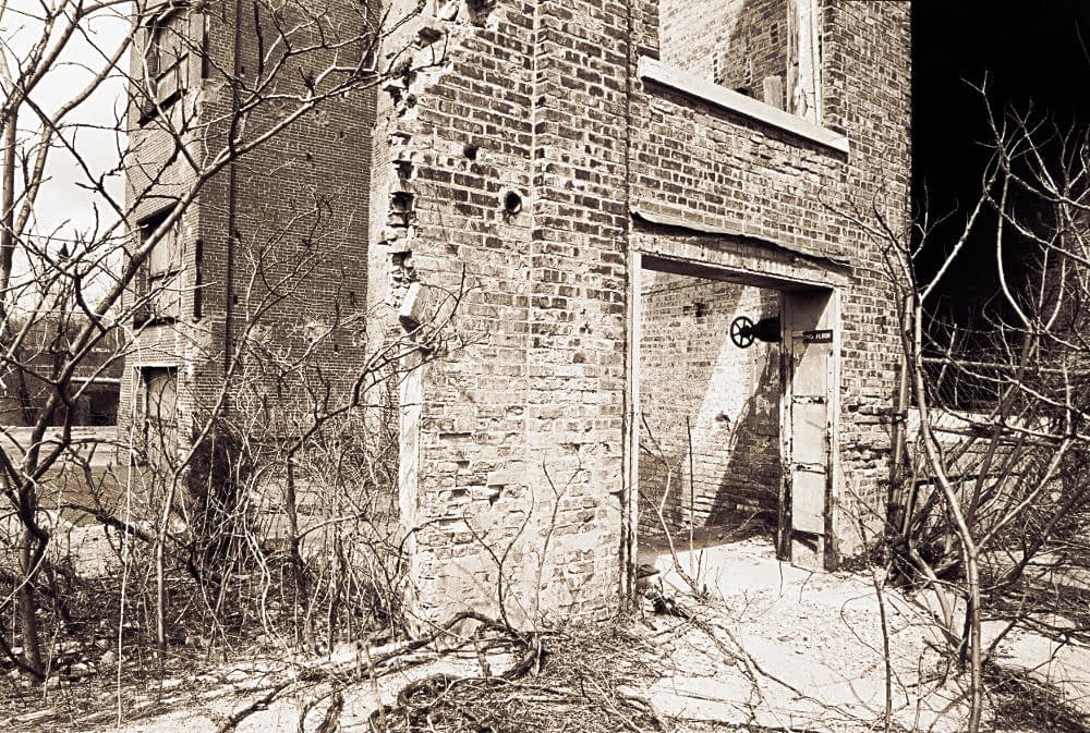 Barren saplings and weeds obscuring crumbling brick walls and an open freight door that leads to a sheer drop. Rendered in monochrome.