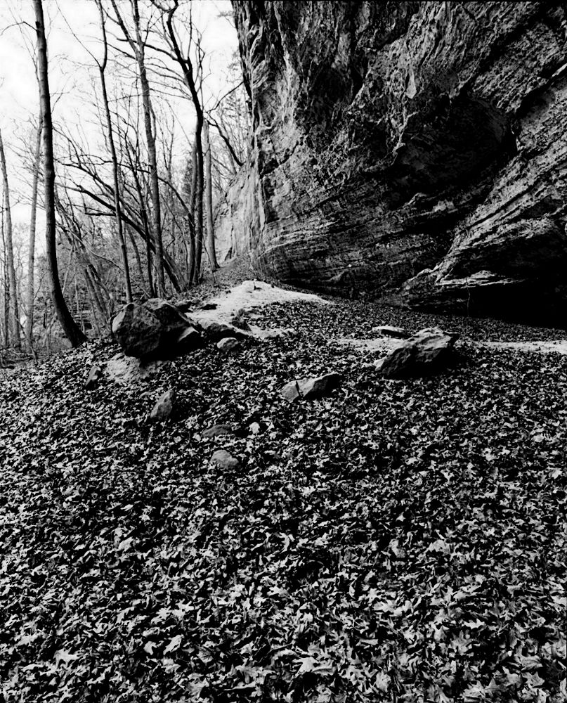 A massive bluff alongside a hill covered in a thick coat of leaves, all of which have been untouched since falling. Rendered in monochrome.