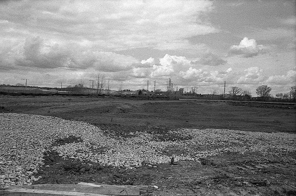 A black and white of a destroyed prairie and a lone robin searching for its old home.