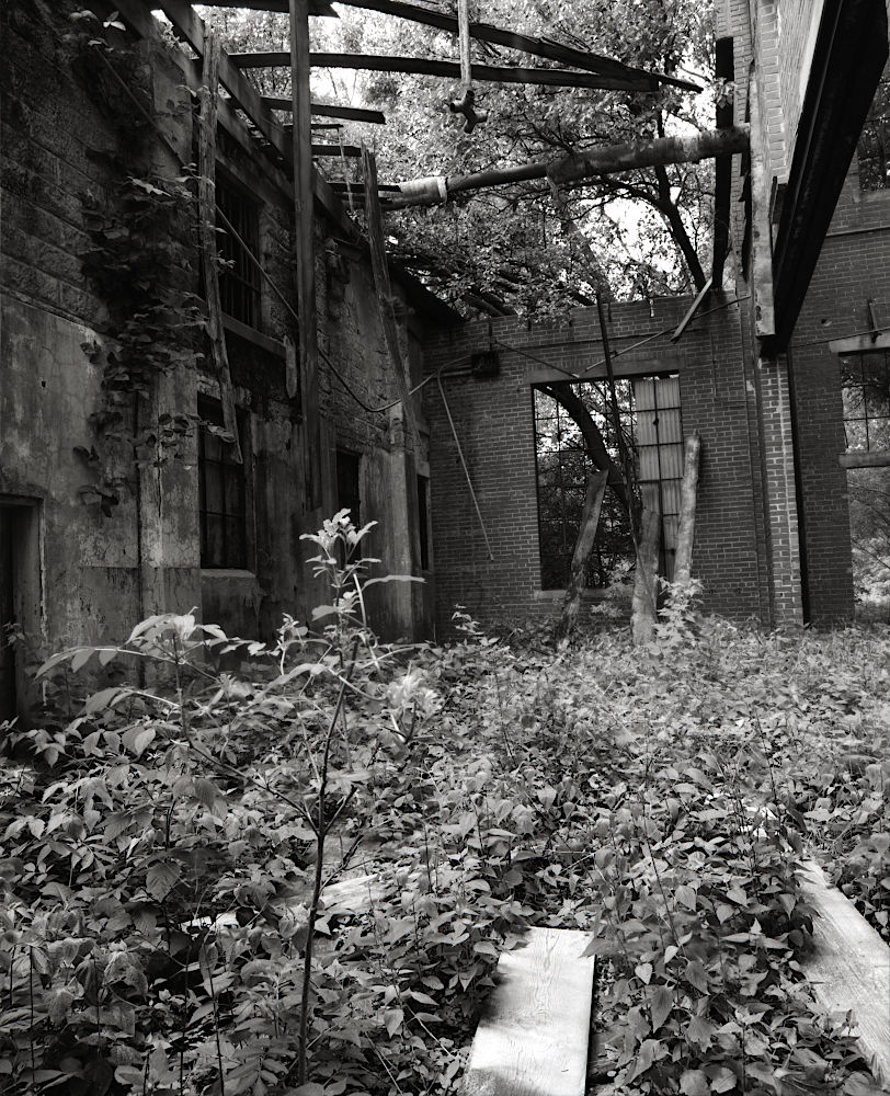 The fully overgrown floor of a derelict foundry, shot in monochrome.