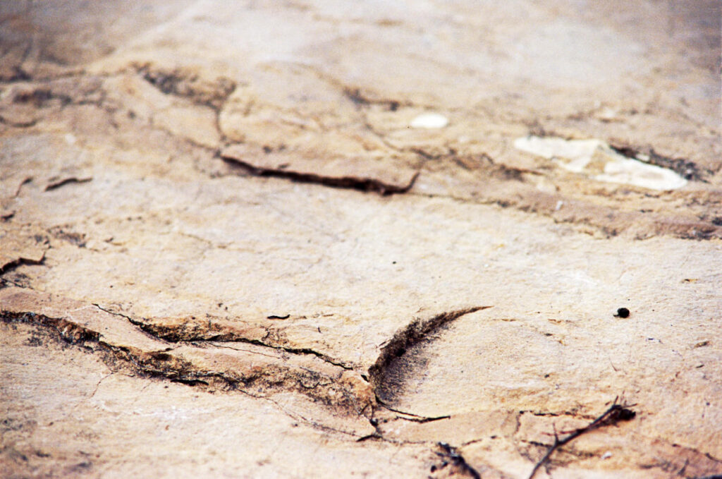 Cracked sandstone rendered as a barren, mountainous plain.
