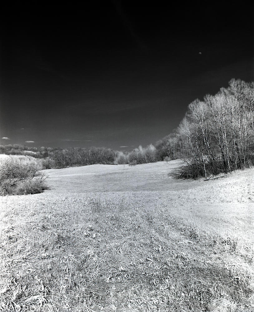A bold monochrome field with the moon just beginning to rise.