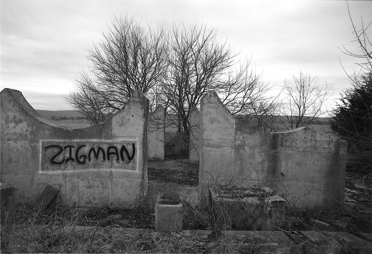 Forgotten concrete reverently standing amid young trees.