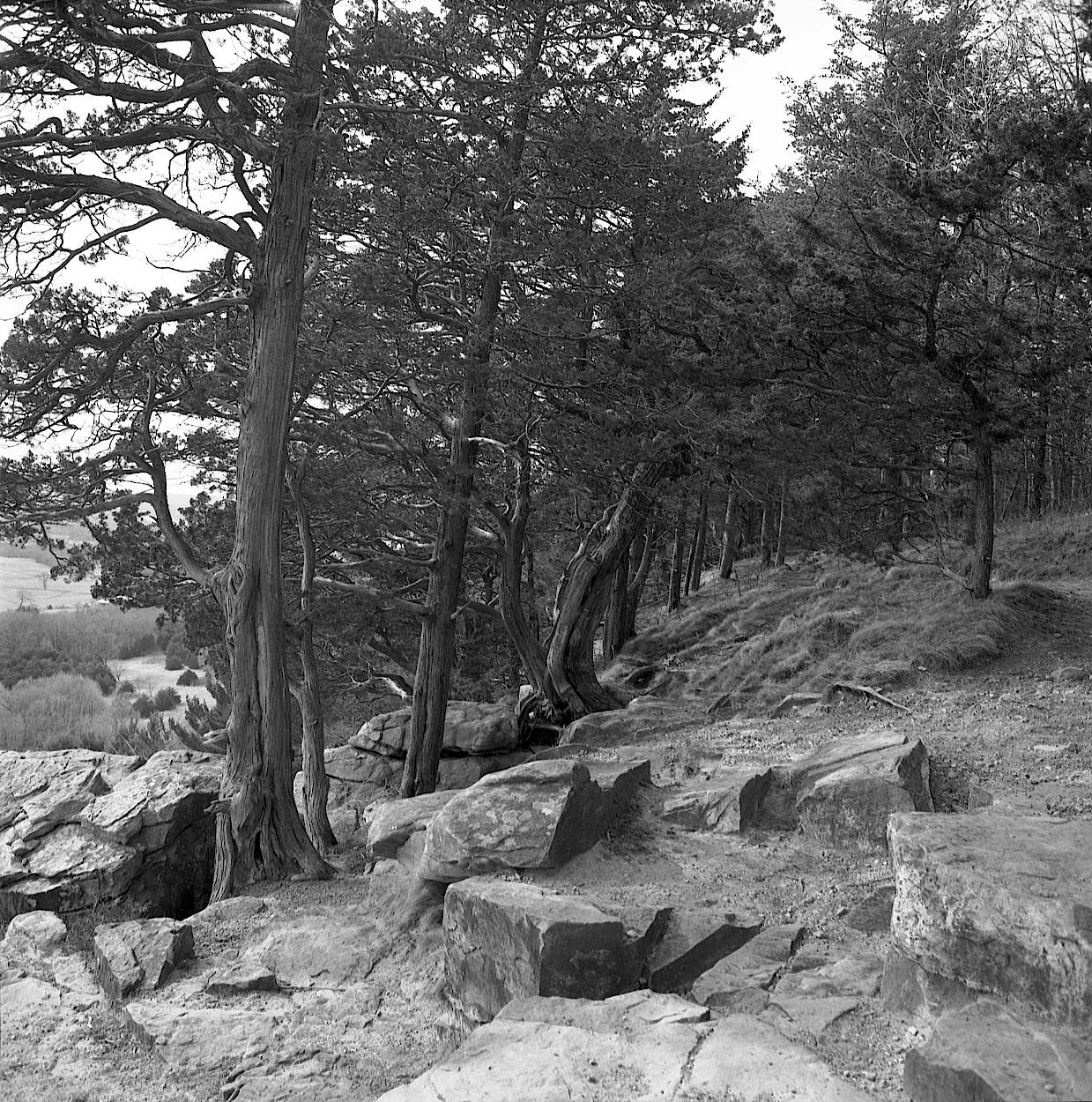 A place of rest and gathering atop a soaring peak.