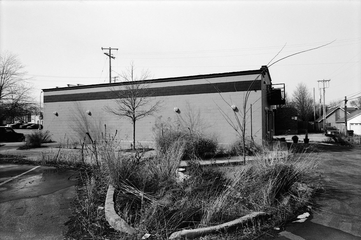 Unruly native grass surrounded by abandoned pavement, seen in monochrome.